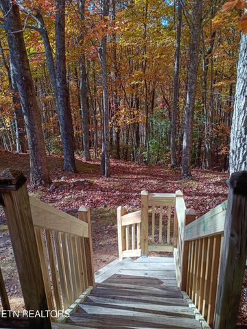 417 SMITHFIELD Rd, Tellico Plains, TN 37385