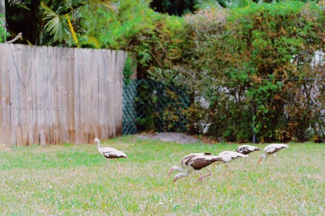 1075 NE 120th St, Biscayne Park, FL 33161