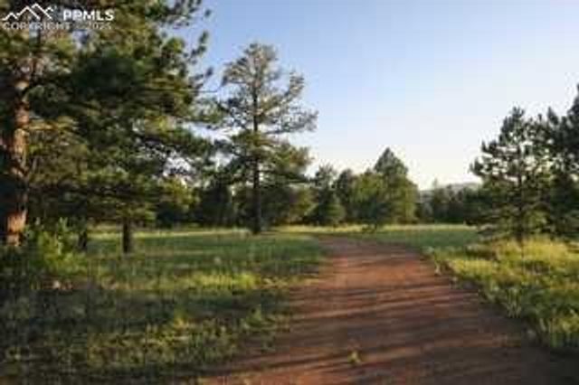 143 Ring Road, Guffey, CO 80820