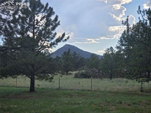 143 Ring Road, Guffey, CO 80820
