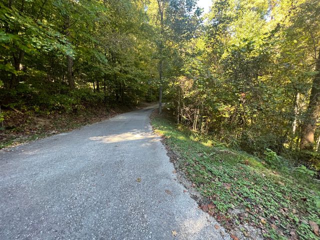 Lot 15 Red River Valley, Slade, KY 40376