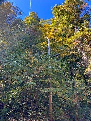 Lot 15 Red River Valley, Slade, KY 40376