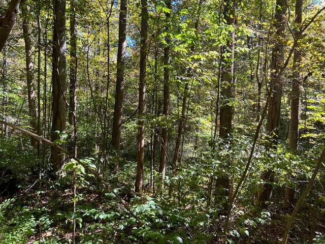 Lot 15 Red River Valley, Slade, KY 40376