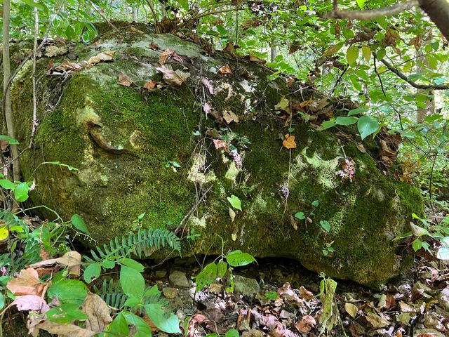 Lot 15 Red River Valley, Slade, KY 40376