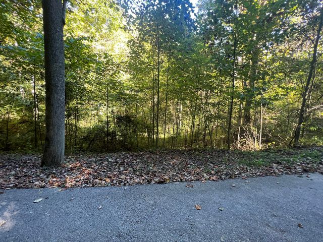 Lot 15 Red River Valley, Slade, KY 40376