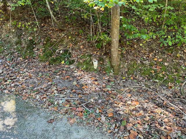 Lot 15 Red River Valley, Slade, KY 40376