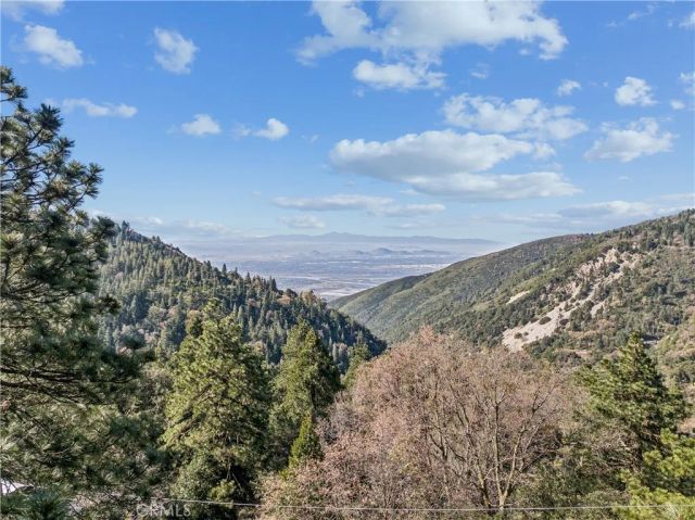 21621 Sawpit Canyon, Cedarpines Park, CA 92322