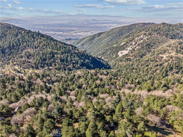 21621 Sawpit Canyon, Cedarpines Park, CA 92322