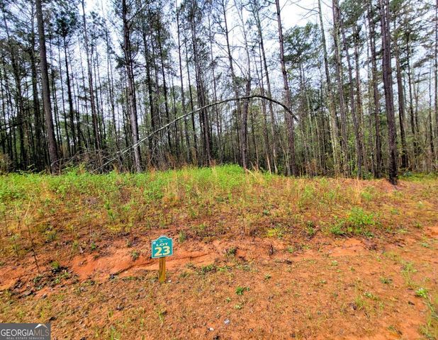 23 Mountaingate Way, Ellijay, GA 30536