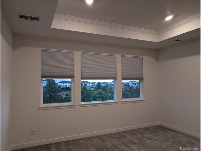 3387 Fellswoop Ct, Castle Rock, CO 80108