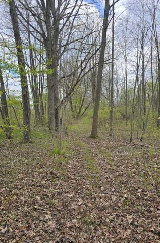 2119 E Vienna Road, Thetford Twp, MI 48420