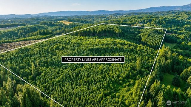 0 NE Finalburg Road, La Center, WA 98629
