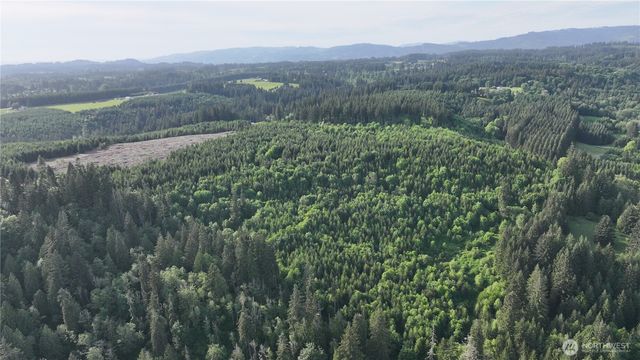 0 NE Finalburg Road, La Center, WA 98629
