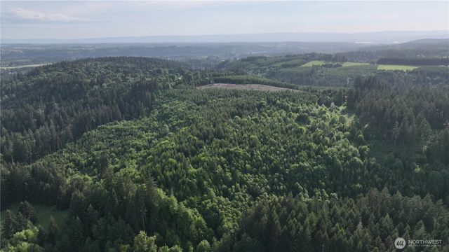 0 NE Finalburg Road, La Center, WA 98629