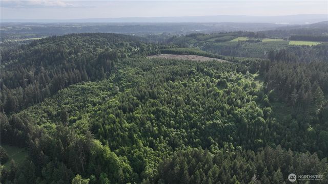 0 NE Finalburg Road, La Center, WA 98629