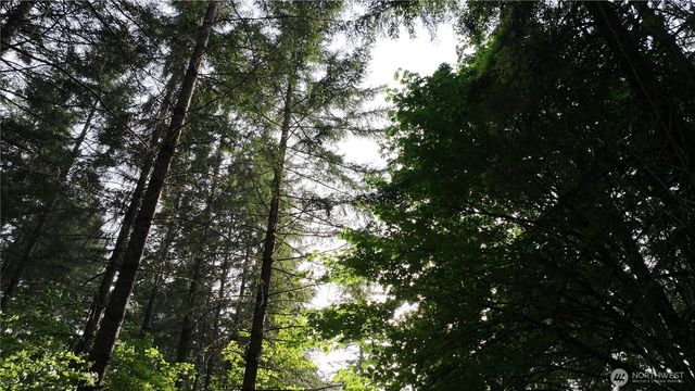 0 NE Finalburg Road, La Center, WA 98629