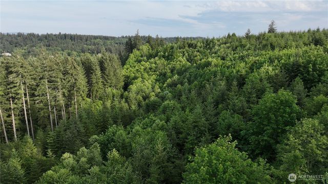 0 NE Finalburg Road, La Center, WA 98629
