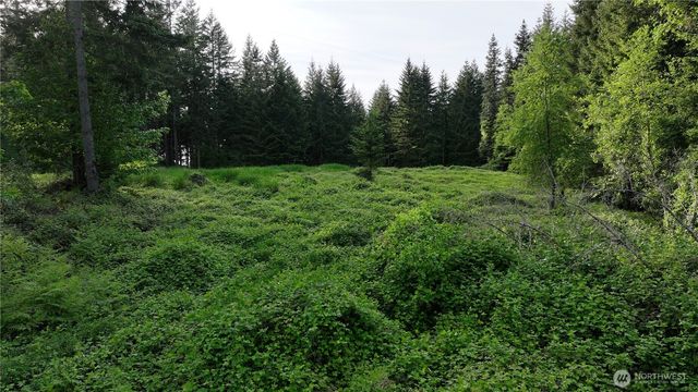 0 NE Finalburg Road, La Center, WA 98629