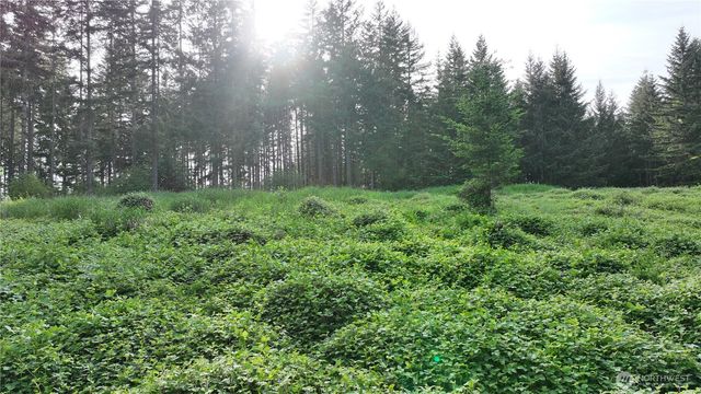 0 NE Finalburg Road, La Center, WA 98629