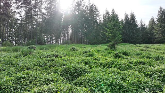 0 NE Finalburg Road, La Center, WA 98629