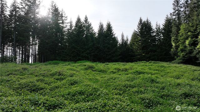 0 NE Finalburg Road, La Center, WA 98629