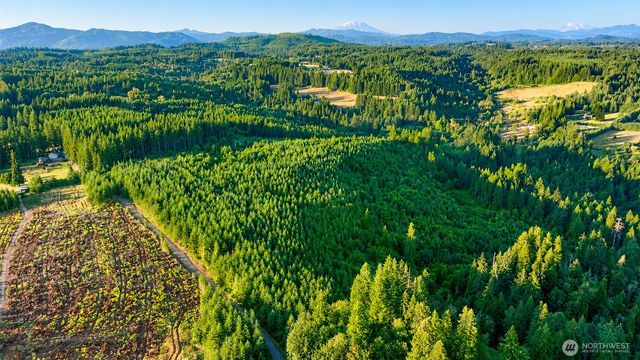 0 NE Finalburg Road, La Center, WA 98629