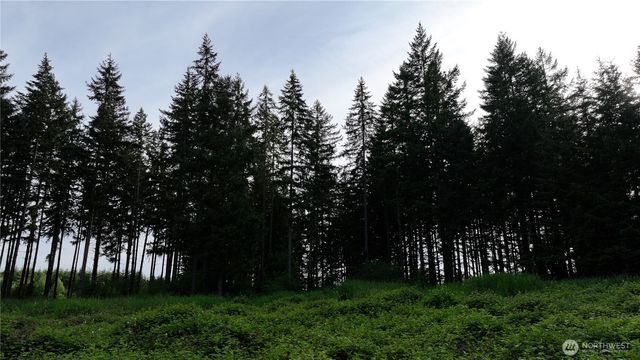 0 NE Finalburg Road, La Center, WA 98629