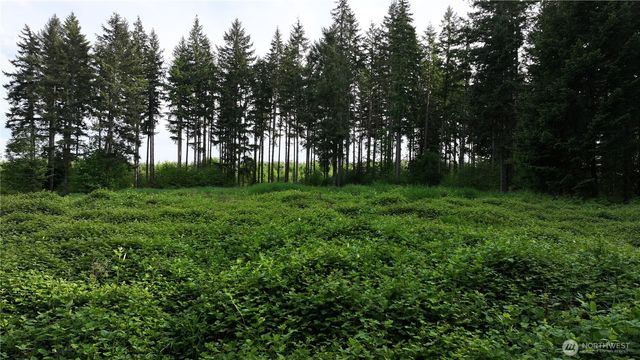 0 NE Finalburg Road, La Center, WA 98629