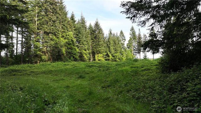 0 NE Finalburg Road, La Center, WA 98629