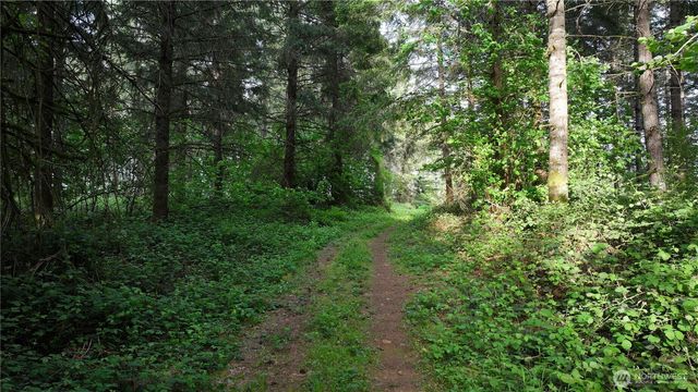 0 NE Finalburg Road, La Center, WA 98629