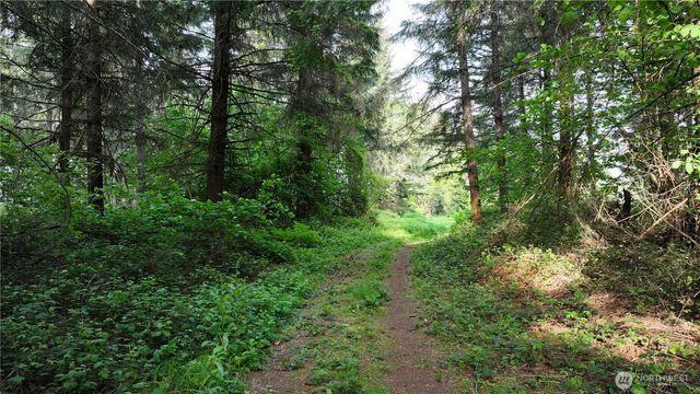 0 NE Finalburg Road, La Center, WA 98629