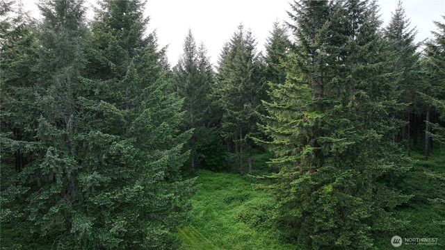 0 NE Finalburg Road, La Center, WA 98629