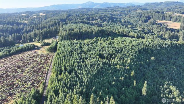 0 NE Finalburg Road, La Center, WA 98629