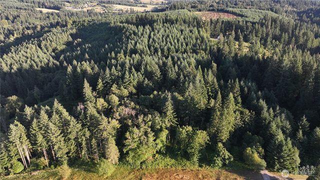 0 NE Finalburg Road, La Center, WA 98629