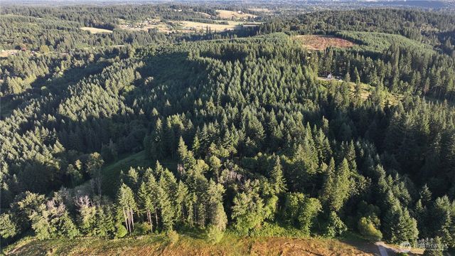 0 NE Finalburg Road, La Center, WA 98629