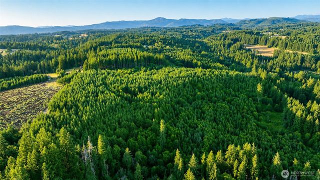 0 NE Finalburg Road, La Center, WA 98629