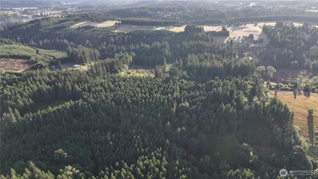 0 NE Finalburg Road, La Center, WA 98629