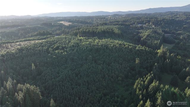 0 NE Finalburg Road, La Center, WA 98629