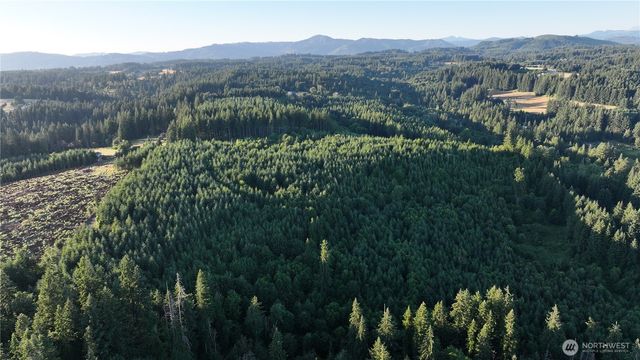 0 NE Finalburg Road, La Center, WA 98629