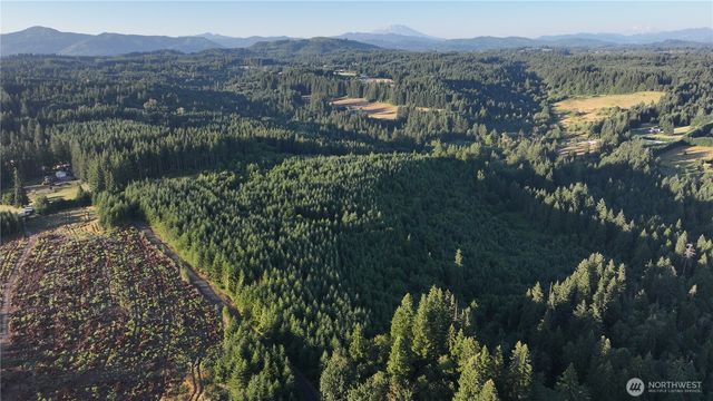 0 NE Finalburg Road, La Center, WA 98629