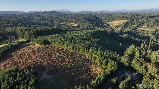 0 NE Finalburg Road, La Center, WA 98629
