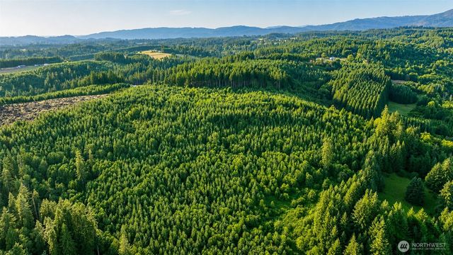 0 NE Finalburg Road, La Center, WA 98629