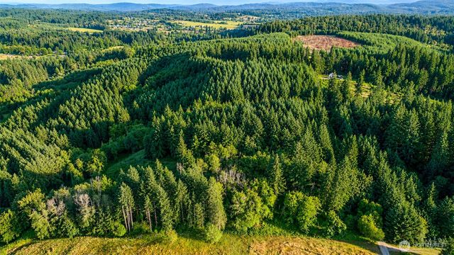 0 NE Finalburg Road, La Center, WA 98629