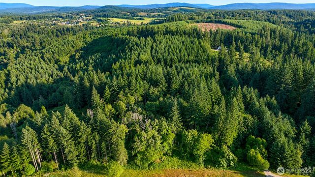 0 NE Finalburg Road, La Center, WA 98629
