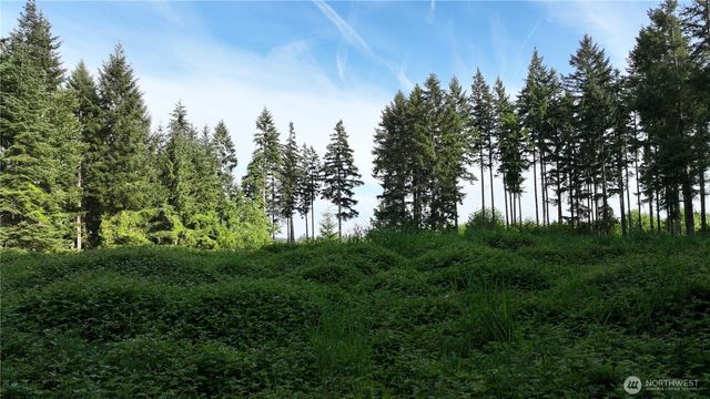 0 NE Finalburg Road, La Center, WA 98629