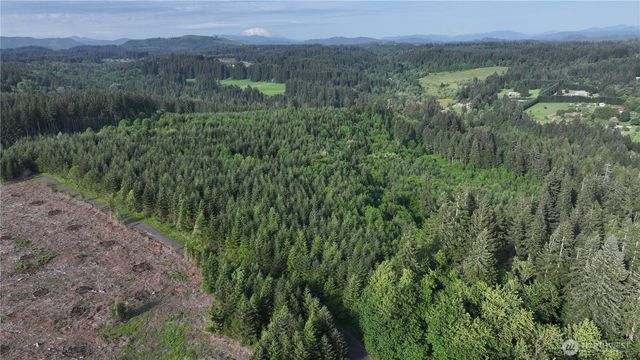 0 NE Finalburg Road, La Center, WA 98629