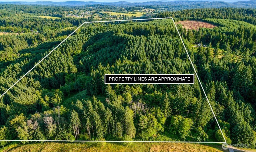 0 NE Finalburg Road, La Center, WA 98629