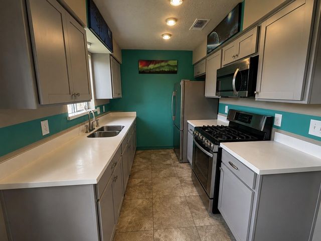 13143 Bamboo Forest Trail, Houston, TX 77044