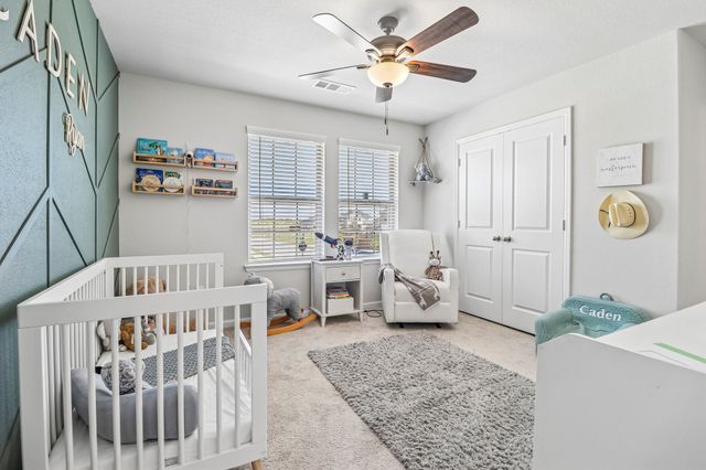 16420 Hidden Cove Drive, Celina, TX 75009