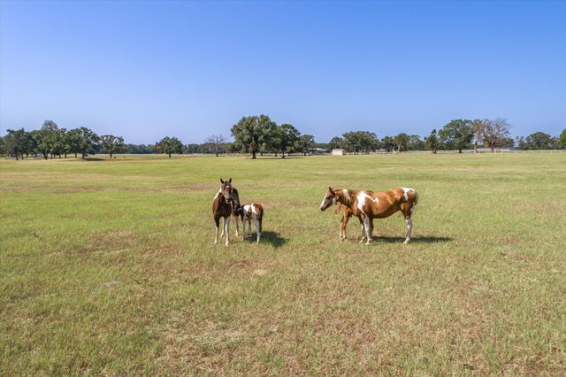 2943 Co Rd 3208 Road, Wills Point, TX 75169
